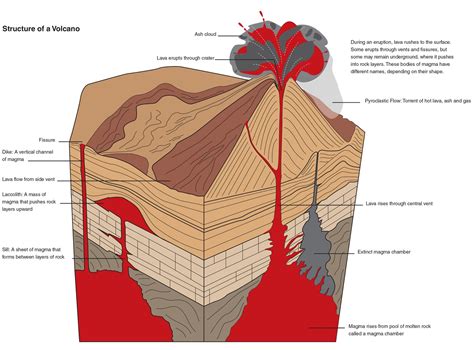 Structure of volcanoes - The Australian Museum