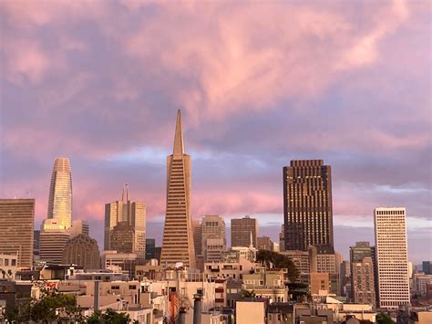 North Beach/Telegraph Hill/Downtown Galore : r/sanfrancisco
