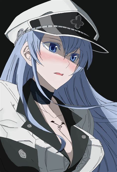 Resultado de imagen para esdeath | Akame ga kill, Akame ga, Kawaii anime