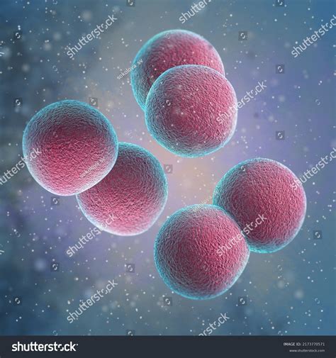 Medical Background Bacteria Cocci Diplococci Gramnegative Stock ...