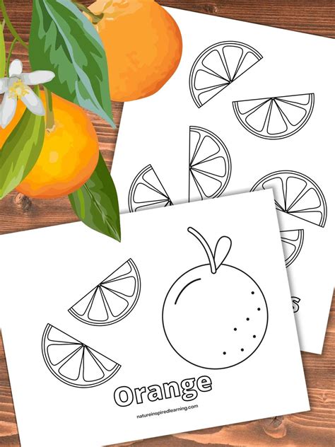 Orange Printable Coloring Pages [2025]