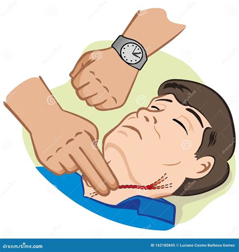 Person Measuring Pulse through the Carotid Artery Stock Vector ...