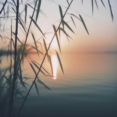 Stream Sirius XM Chill mix May 2023 by Klur | Listen online for free on ...