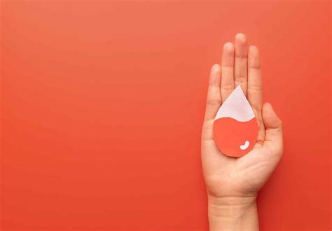 Todo sobre lo que deben de saber sobre la leucemia - Martha Debayle