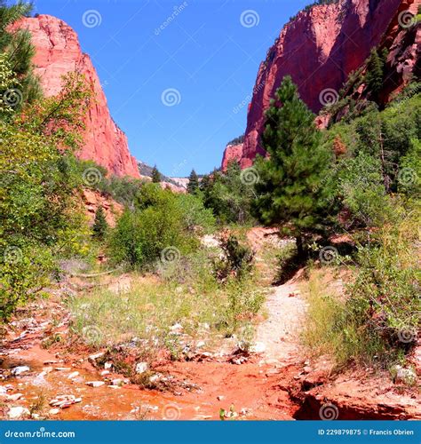 Taylor Creek Trail Kolob Canyons Zion National Park 7 Stock Image ...