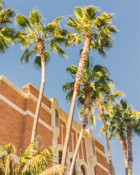 We're soaking up the spring break sun this week at the University of ...