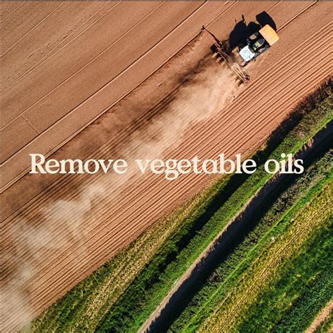 Zero Acre Farms Raises $37M to "End Vegetable Oils" With Investors ...