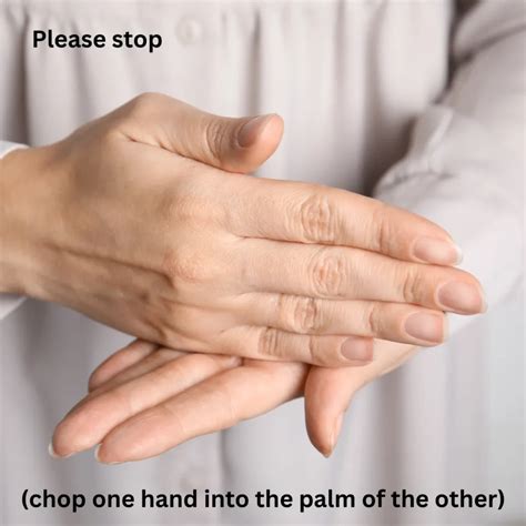 65+ Correct Way to Say Please in Sign Language 😊