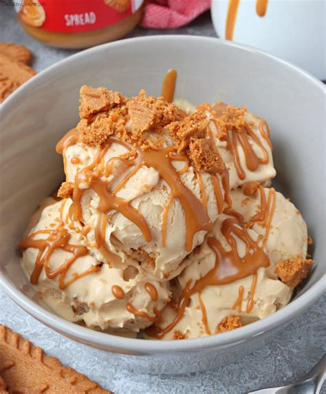 Biscoff Ice Cream Bars Recipe at Abbey Wales blog