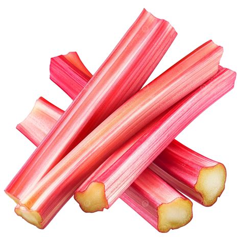 What Stalks The Deep