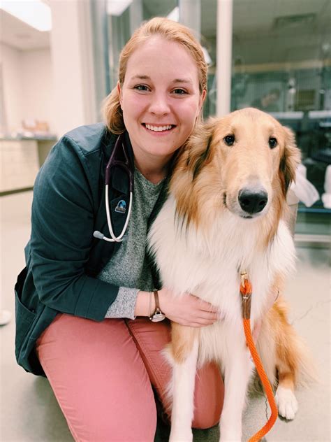 Our Team | Bloomsburg Vet Hospital