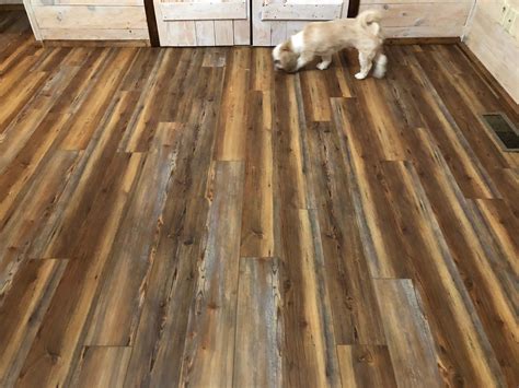 Using Pine Sol For Vinyl Floors - Flooring Designs