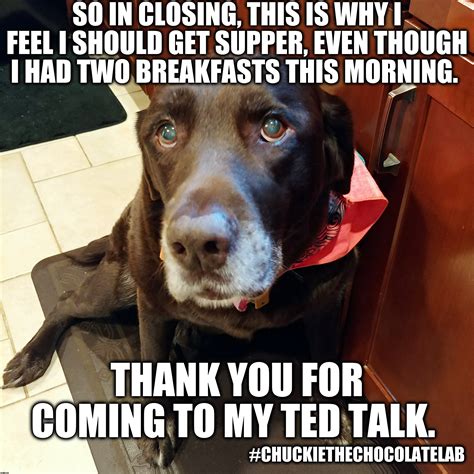 I ate two breakfasts - Imgflip