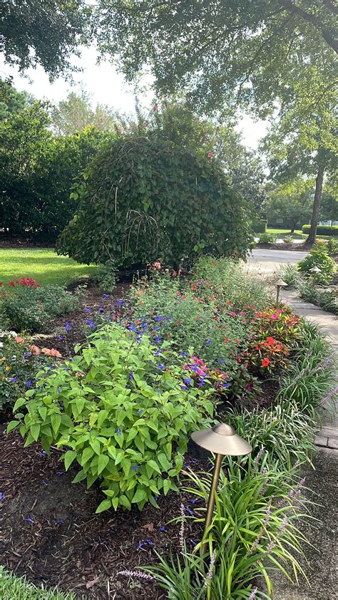 TW Pornstars - Eva Lovia®. Twitter. Morning views. 2:07 PM - 27 Aug 2022