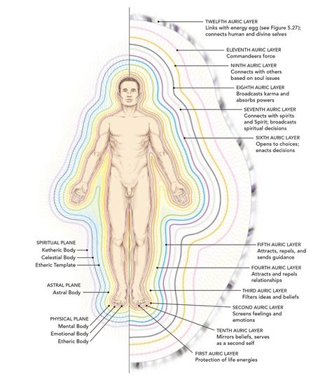 A Complete Guide to the Human Energy Fields and Auric Body
