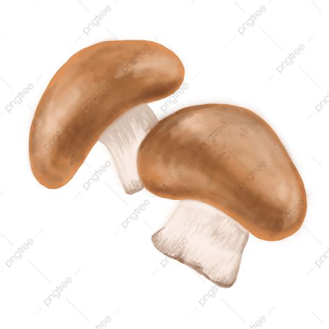 Shiitake Mushrooms PNG Image, Shiitake Mushrooms, Vegetables, Hand ...