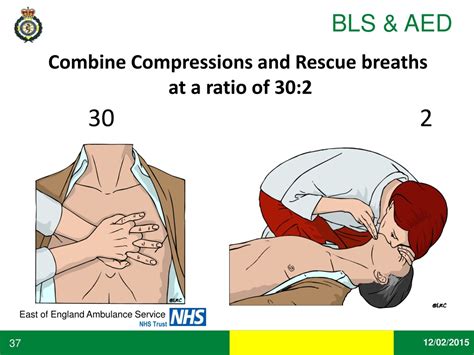 PPT - Basic Life Support & AED Training | Learn CPR & Defibrillation Skills Efficiently ...