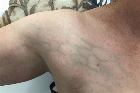 35 Facts About Wojtek The Bear - Facts.net