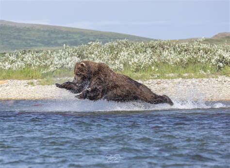 Scott Stone Exclusive Porn Videos