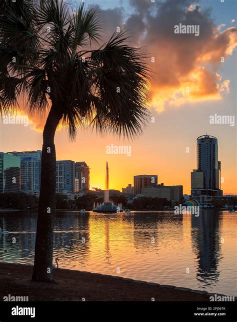 Orlando city skyline at sunset in Lake Eola, Florida, USA Stock Photo ...