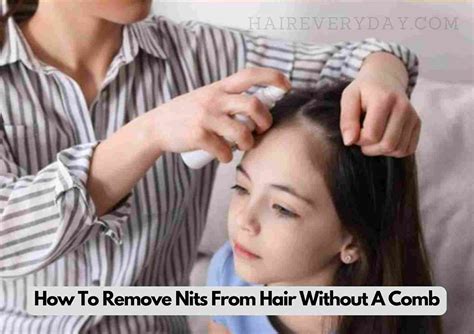 Nits In Hair How To Get Rid at Jerry Fagan blog