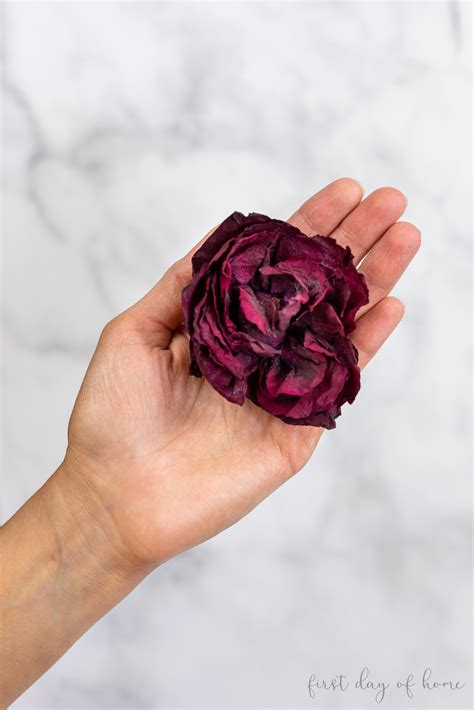 How to Use Silica Gel for Drying Flowers: Complete Guide (2026)