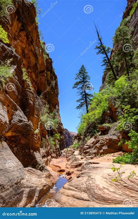 Water Canyon in Zion National Park, Utah, USA Stock Image - Image of ...