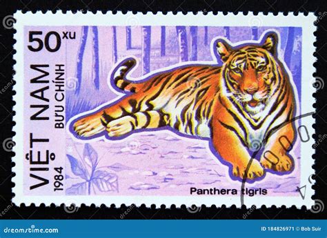Postage Stamp Vietnam, 1984, Tiger, Panthera Tigris Editorial Photo - Image of collectible ...