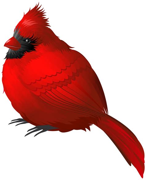 Free Cardinal Bird Png, Download Free Cardinal Bird Png png images ...