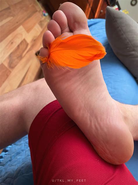 This feather should be used to tease and tickle my bare feet 🪶 : r ...