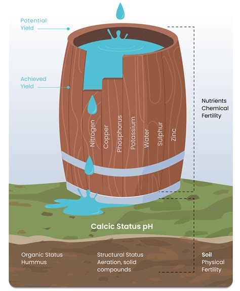 Liebig Barrel at Karren Lemons blog