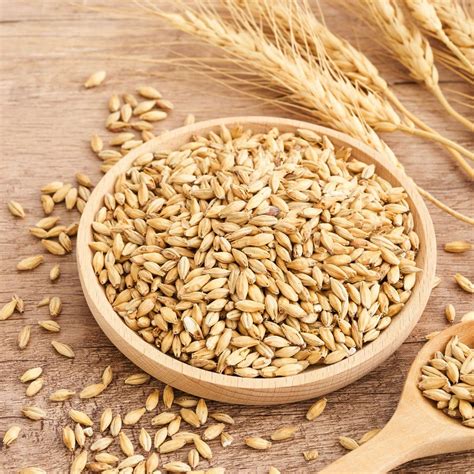 Farro vs. Barley | Nutrition With Juliana