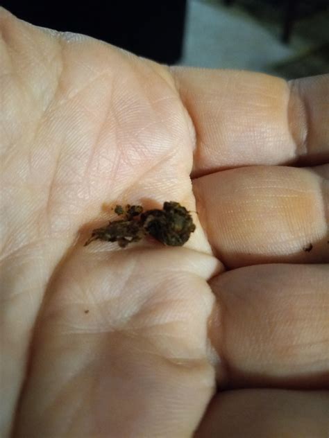 This lump of crap pretty much fell out of my ear after being poked with ...