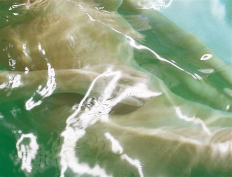 Aural Sex for Beginners | goop