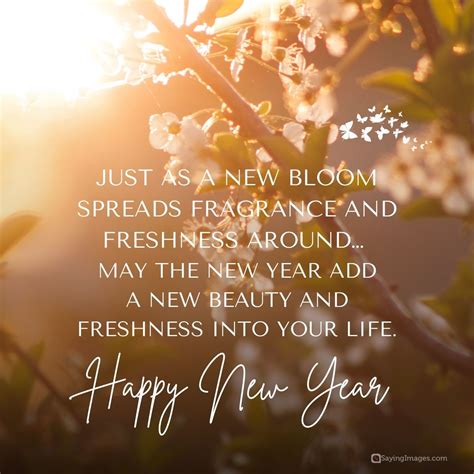 Ethiopian Motivational Quotes 200+ Happy New Year 2026 Quotes, Wishes,