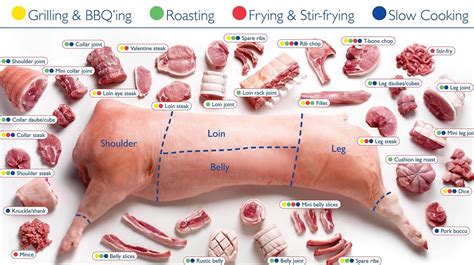 Buy Iconic Arts - Cuts of Pork Butchers Chart 24x36 Online at ...