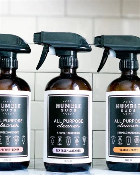 The Best Homemade Oven Cleaner Recipes - Sustainably Kind Living