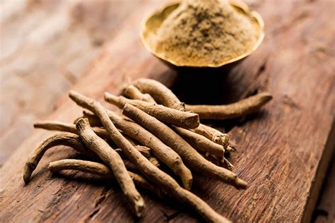 Descubre los Beneficios de la Ashwagandha para tu Salud