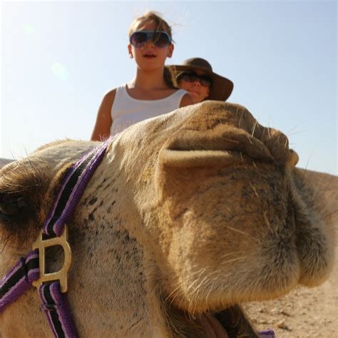 Egypt Discovery Tours (Cairo): Address, Phone Number - Tripadvisor