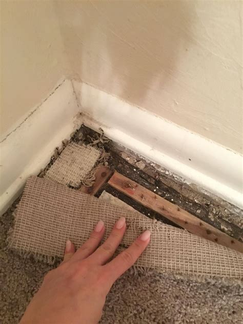 Make Your Own Carpet Tack Strip at Samantha Brabyn blog