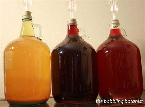Small Batch Homemade Fruit Wines