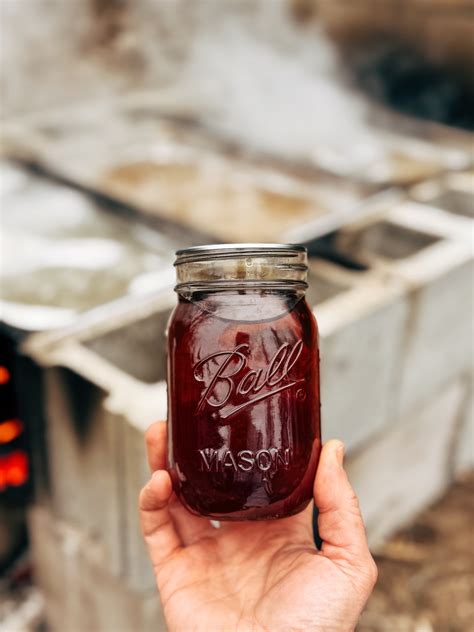 Can Chickens Eat Celery? Is Raw or Cooked Best?