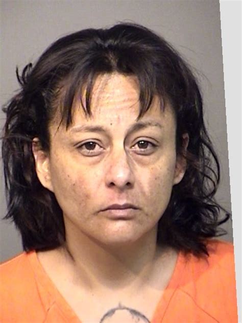 Hockley County Jail Roster