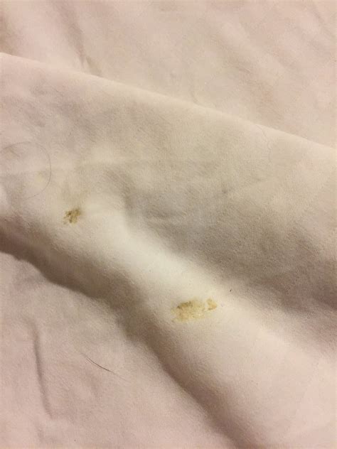 BEST WESTERN RAMBLER - Bewertungen, Fotos & Preisvergleich (Walsenburg ...