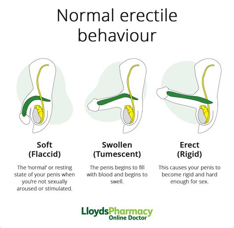 ‘Normal’ Erectile Function | LloydsPharmacy Online Doctor UK