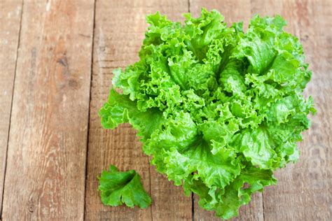 varieties of lettuce alphabetical, types of lettuce - JGDRI
