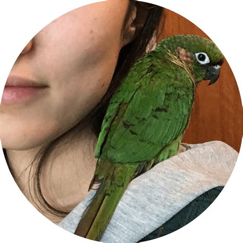 About - M. L. Wang Books