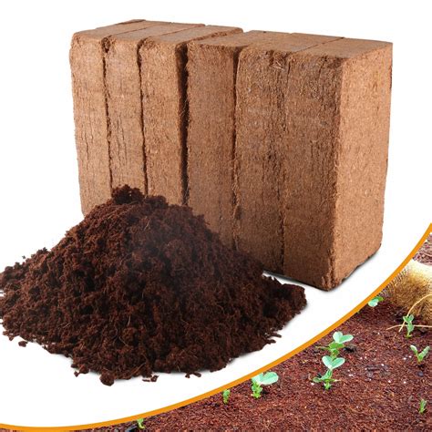 Snapklik.com : Premium Organic Coconut Coir Bricks - 6 Pack Coco Coir ...