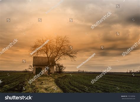 House In The Middle Of Nowhere: Over 1,211 Royalty-Free Licensable ...