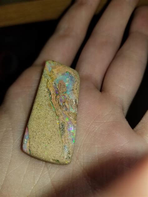 Canadan Petrified Wood Opal at Seth Reynolds blog